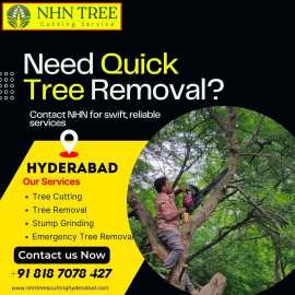 Safe and Affordable Tree Removal Service hyderabad, Hyderabad