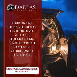 Dallas Holiday Christmas Lights Limo Tour, Dallas