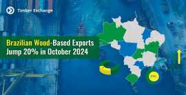 Brazilian Wood-Based Exports Jump 20% in October, Taby