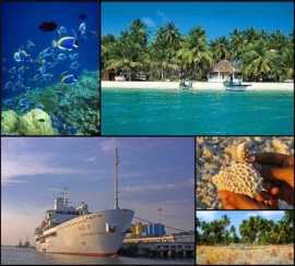 Latest Lakshadweep Tenders, Palakkad