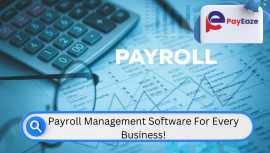 Payroll Management Software: Make Payroll Easy!, Mississauga