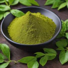 Organic vs. Conventional Gymnema Extract, Bengaluru