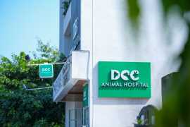 Best Pet Hospital in Jaipur - DCC Animal Hospital, Jaipur