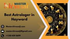 Best Astrologer in Hayward - Master Shivasaiji, Hayward