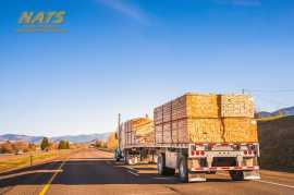 Freight Shipping in Canada for a Smooth Start to t, Mississauga