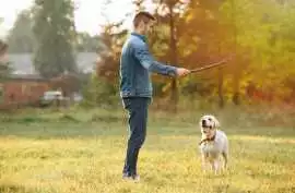 Dog Training, Patna