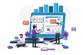 Professional Custom Software Development Services , Lucknow