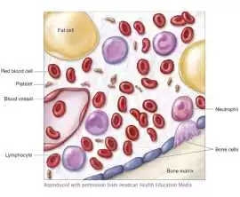 What are Blood & bone marrow cancers, Mississauga