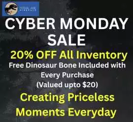 20% Off Authentic Fossils This Cyber Monday at Fos, ps 20