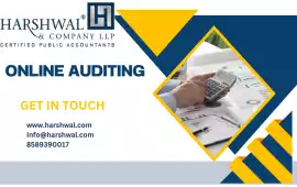Trusted Online Auditing Experts at Your Service, San Diego