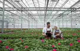 SBI Software: Find Best Nursery Business Software , Portland
