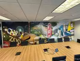 Stunning Wall Murals in Tampa, Tampa