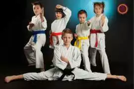 Karate Classes in Los Gatos for All Ages & Ski, Los Gatos