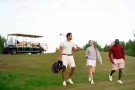 Handicap Dynamics and Player Performance in Golf, Sheridan
