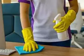 Professional Carpet Cleaning Service in Singapore, Bukit Timah