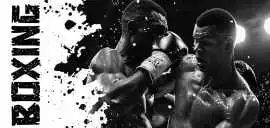  Boxing Lessons in Brampton for Beginners & Fi, Brampton
