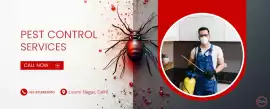 Popular Pest Control Services in Laxmi Nagar, New Delhi