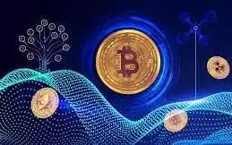 Crypto Exchange License, Online Gaming License, Thane