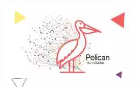 Pelican by Onix – Automated Data Validation Tool, Princeton