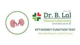 Need a KFT Test in Jaipur? Visit Dr. B Lal Labs, Jaipur