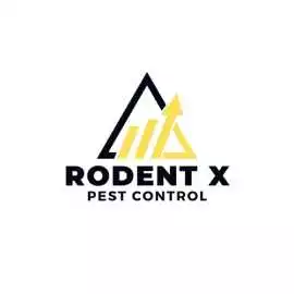 Expert Bedbug Control Manchester , Manchester