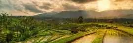 Asia Holidays - Experts in South East Asia