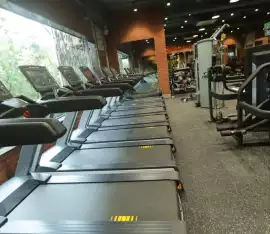 Why Not Fitness – Best Gym in Andheri West , Mumbai