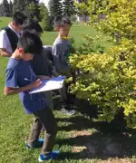 Looking for a Markham Private School That Blends E, Markham