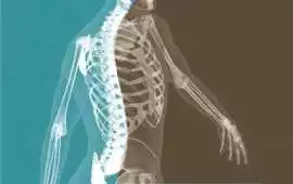 Best Neurologist New Delhi Providing Trusted Care , New Delhi