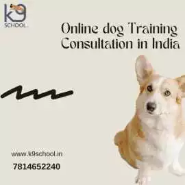 Dog Training Programs Near Me at K9 School for Hap, New Delhi