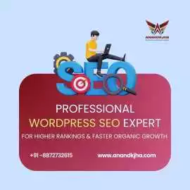 WordPress SEO Expert for Faster Organic Growth, Chandigarh