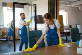 Reliable Standard Cleaning Services in Los Angeles, Los Angeles