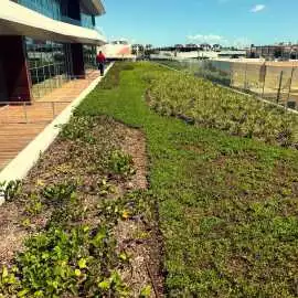 Expert Irrigation Consulting for Sustainable Lands, Kissimmee