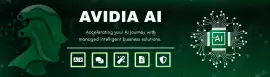 Free SEO Tools by AVIDIA for Powerful Website Rank, Lucknow