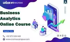 Business Analytics Certification Course, Noida