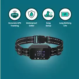 Furthrive GPS Reviews - [Before You Buy] Don’t Mis, Alma