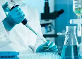 Nutraceutical & Herbal Extract Supplier | Best, Kolkata