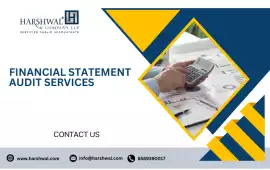 Financial Statement Audit Service, San Diego