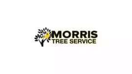 Safe and Efficient Tree Removal in Hudson, Holiday