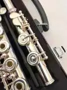 Shop Professional Flutes For Sale Online, Austin