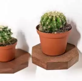 Geometric Mini Wall Shelf Elevate Blank Spaces, $ 0
