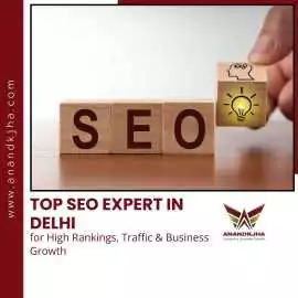 Top SEO Expert in Delhi for Higher Rankings, Delhi