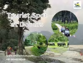 Best Tourist Spot at Dooars – Explore Nature with , Azimganj