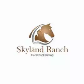 Enjoy Horseback Riding Near Seattle This Season