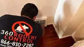 360 Pest Solution, Brisbane