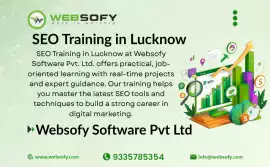 SEO Institute in Lucknow | Websofy Software , Lucknow