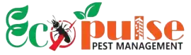 Affordable Termite Control Services in Kolkata, Kolkata