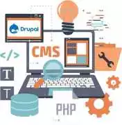 Top Rated Drupal Maintenance & Support Service, Mohali
