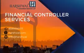Financial Controller Services for Better Cash Flow, San Diego