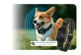 Furthrive GPS Tracker – Smart Protection, New York